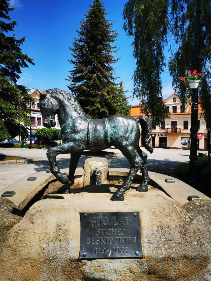Hotel Suskie Diablaki Sucha Beskidzka Zewnętrze zdjęcie